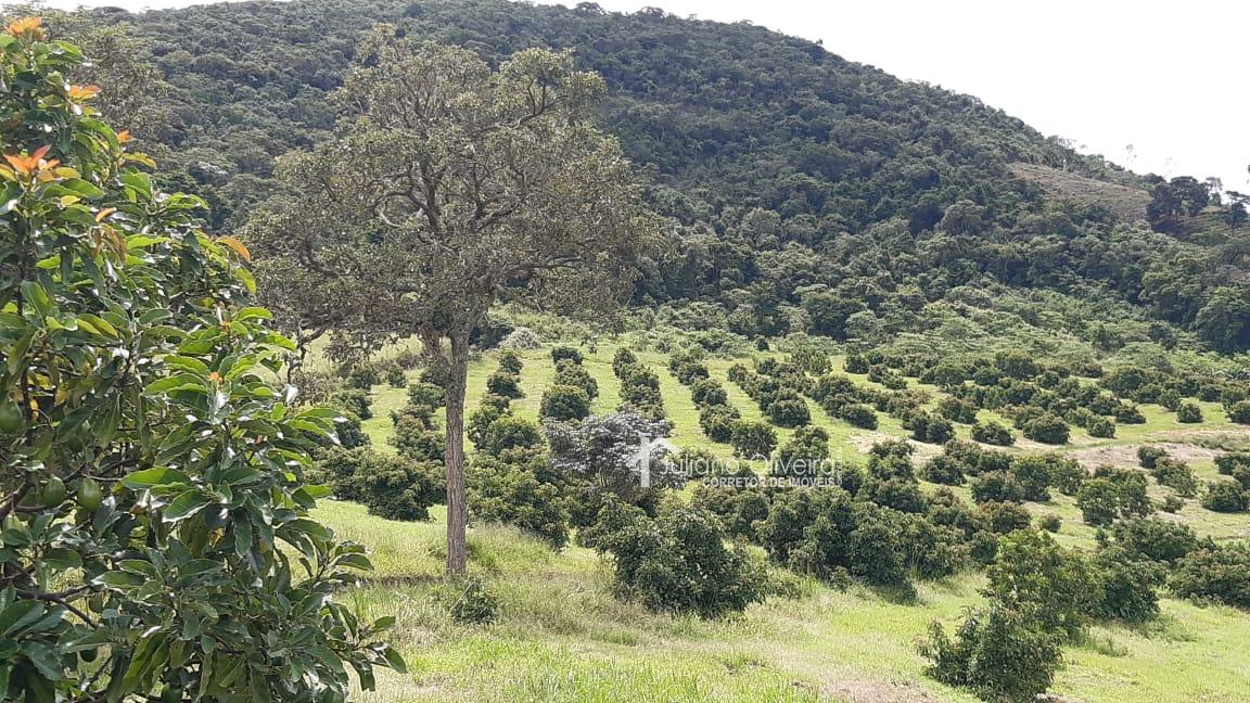 WhatsApp Image 2022-02-08 at 06.48.41