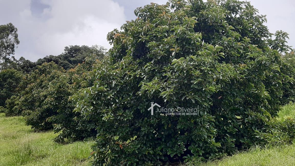 WhatsApp Image 2022-02-08 at 06.48.42