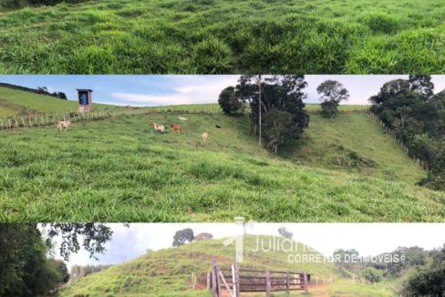 WhatsApp Image 2022-04-19 at 19.45.15