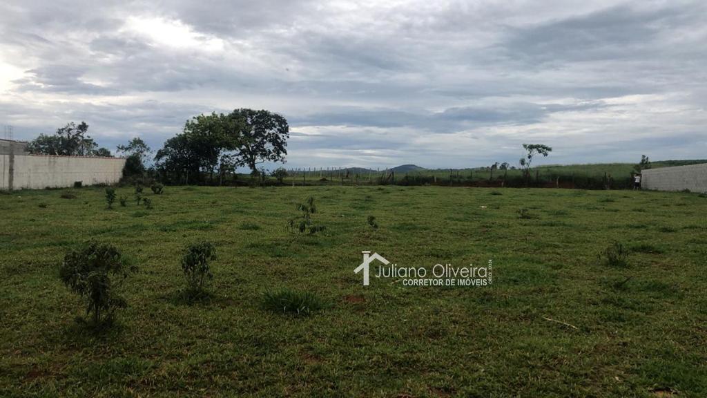 WhatsApp Image 2023-01-13 at 15.33.33