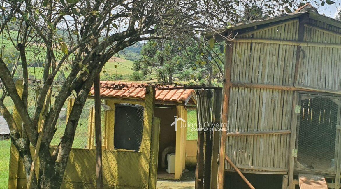 b067d8ab-378c-483e-a819-6c7e6a3f18ef