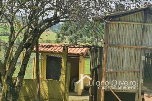 b067d8ab-378c-483e-a819-6c7e6a3f18ef