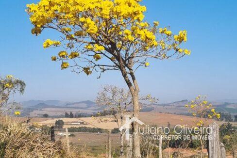 6bc348c8-9271-4792-a52c-93c5e3cd6285