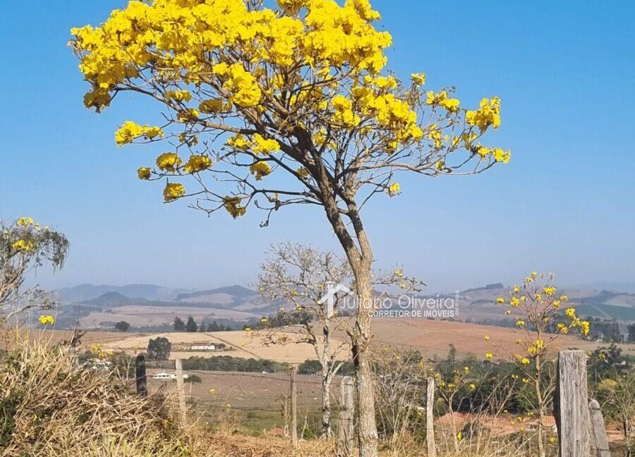 6bc348c8-9271-4792-a52c-93c5e3cd6285